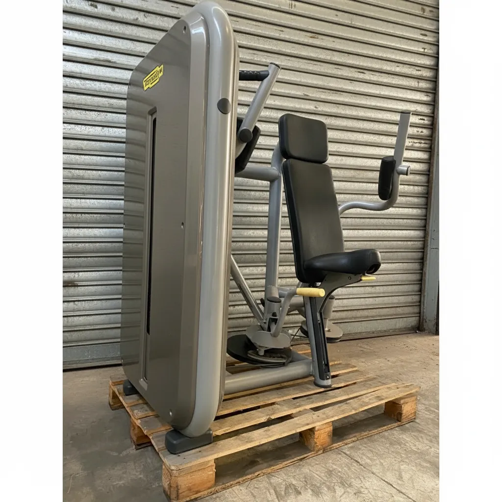 pectoral element 1.webp