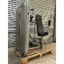 pectoral element 1.webp