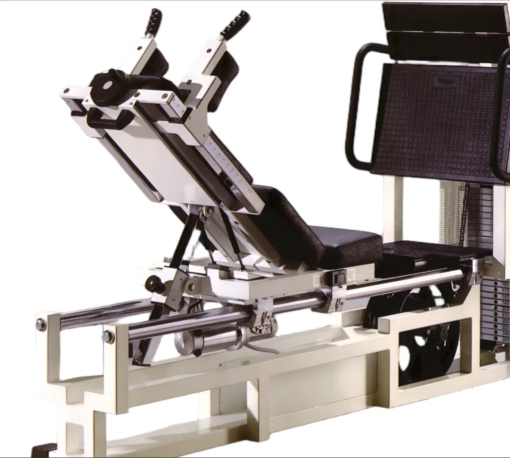 Immagine 2025-12-04 193449.webp